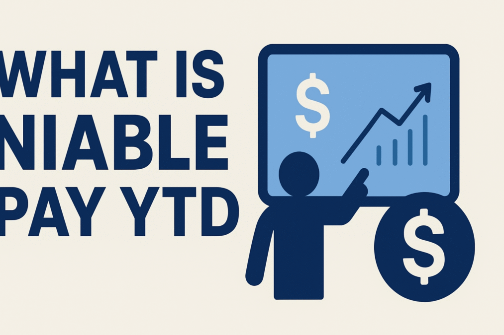 what is niable pay ytd
